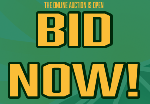 Online Auction - Bid Now!